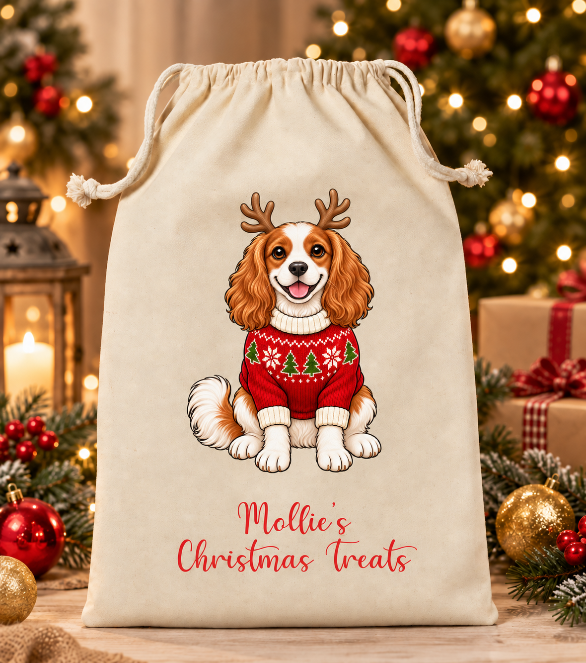 Personalised Dog Christmas Sack