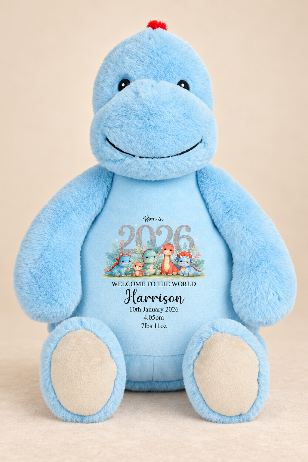 Personalised Baby Dinosaur Cubbie